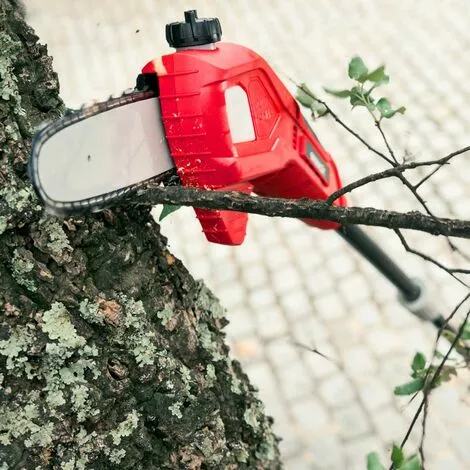 Podadora De Bateria 40V + Bateria 2Ah + Cargador -GREENCUT 6 Podadora De Bateria 40V + Bateria 2Ah + Cargador -GREENCUT – Image 4