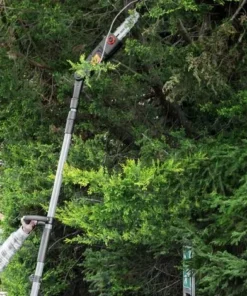 ELEM GARDEN TECHNIC Scie à ébrancher Sur Perche 710W Guide Oregon 24cm -Tronçonneuse et accessoire Soldes 2022 15087529 5