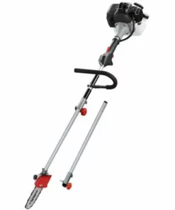 BIGB Élagueuse Thermique Sur Perche 33 Cm3, Longueur 2.76 Mètres