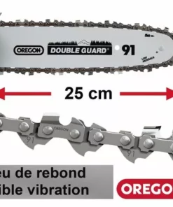 GRIZZLYTOOLS Tronçonneuse Sans Fil Grizzly Tools AKS 2040 Lion Avec Batterie 20 V - 4,0 Ah / Chargeur, Longueur De Coupe 25 Cm -Tronçonneuse et accessoire Soldes 2022 23413421 4