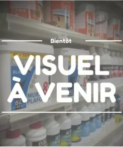 G�N�RIQUE Roulement à Aiguilles Pour Notre Pignon De Tronçonneuse 170-8304 Pour Machines TAS-TANAKA ECV3801 Et ECV4501
