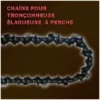 POWERGROUND Chaîne Proffessionnelle OREGON 10'', 25 Cm Pour Tronçonneuses élagueuses à Perche