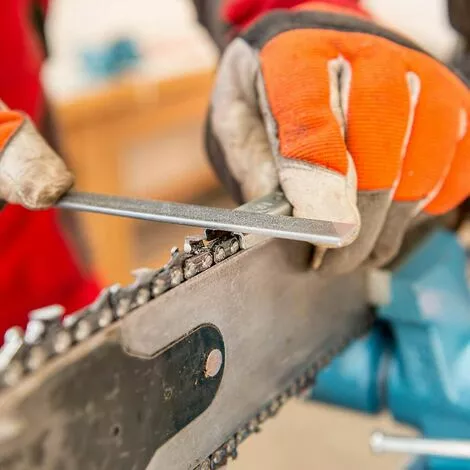 Cisea 7Pièces Affuteuse De Tronçonneuse,chaîne Affûtage Avec 5/32 3/16 7/32 Lime Ronde,guide,lime Plate,limes à Aiguilles,poignée,calibre Et Rangement 5 Cisea 7Pièces Affuteuse De Tronçonneuse,chaîne Affûtage Avec 5/32 3/16 7/32 Lime Ronde,guide,lime Plate,limes à Aiguilles,poignée,calibre Et Rangement – Image 3