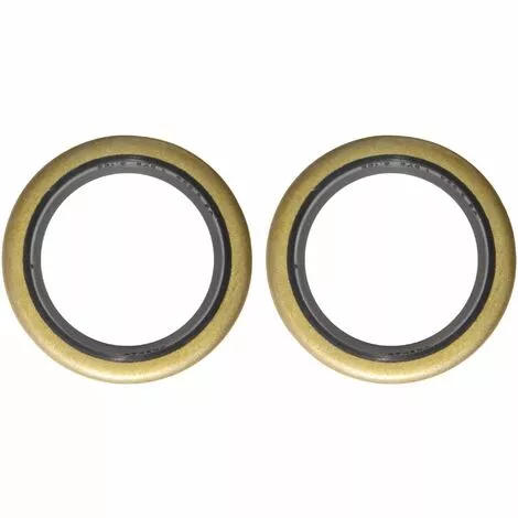 CYCLINGCOLORS 2x Joint SPI 22x32x5mm Référence Origine 299 819 Et 89 669 Compatible Avec Briggs & Stratton 2 à 5cv 3 CYCLINGCOLORS 2x Joint SPI 22x32x5mm Référence Origine 299 819 Et 89 669 Compatible Avec Briggs & Stratton 2 à 5cv