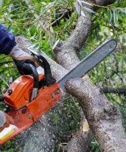 SLBRILLèRE Aiguiseur De Chaîne Kit D'aiguiseur De Tronçonneuse Pour Tronçonneuse Avec Lime, Manche En Bois 11 SLBRILLèRE Aiguiseur De Chaîne Kit D'aiguiseur De Tronçonneuse Pour Tronçonneuse Avec Lime, Manche En Bois -Tronçonneuse et accessoire Soldes 2022 63511554 5